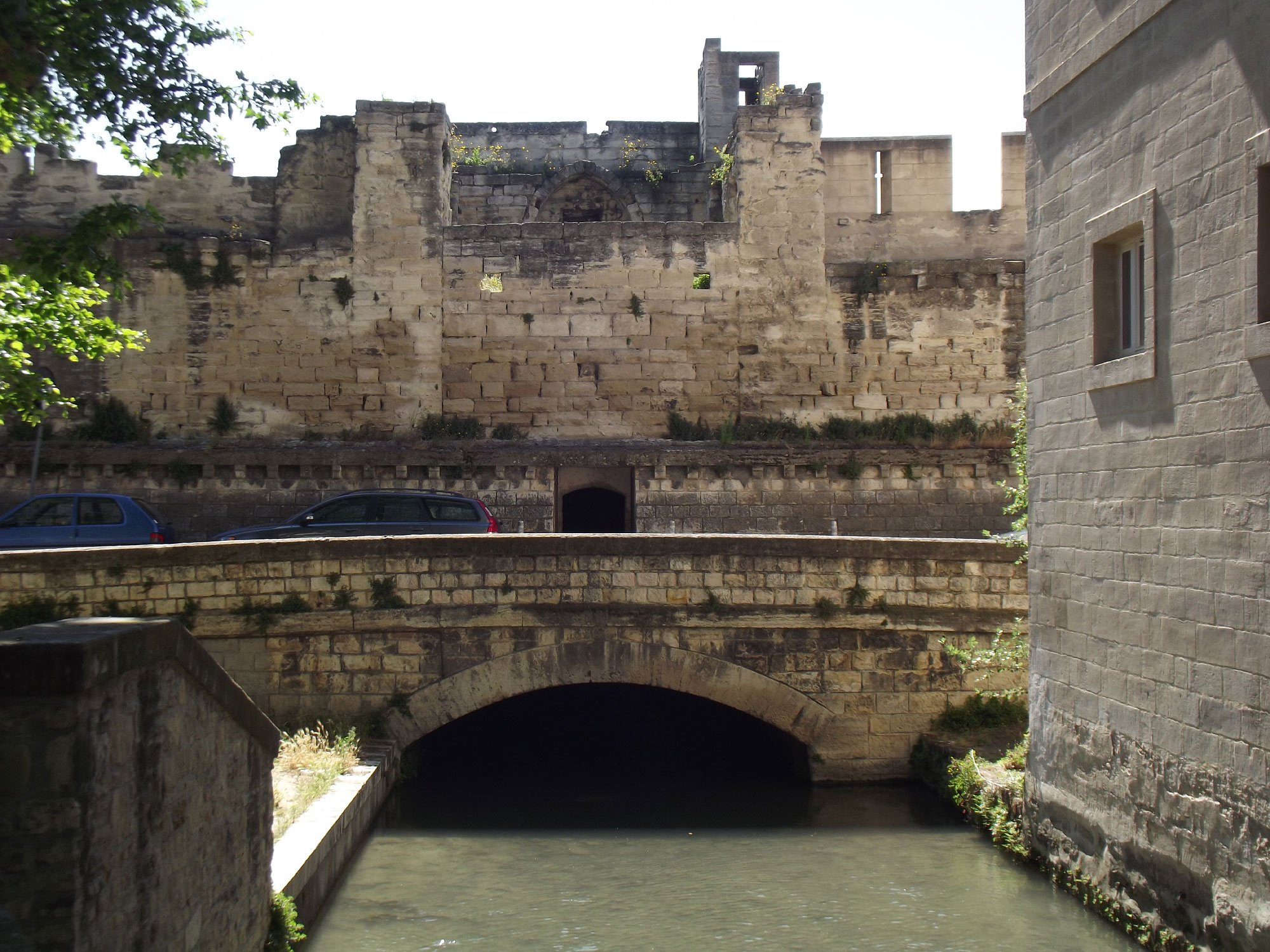 Avignon